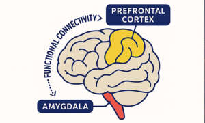 Train your brain